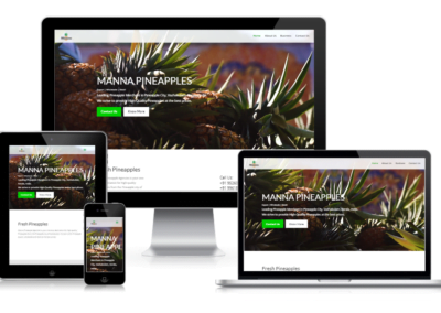 Manna Pineapples Website Screenshot